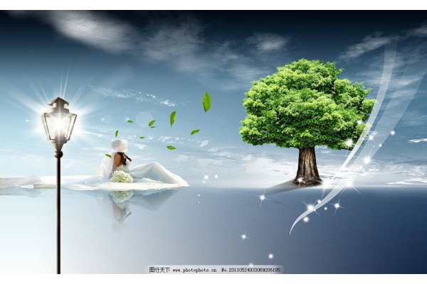 杭州按摩技师技艺高超，茶香中也畅快